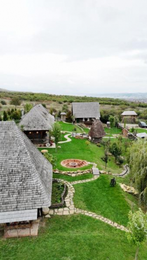 Echoes of Vlădicu